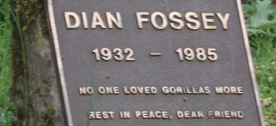Dian Fossey grave yard hike