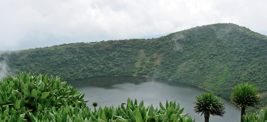 Mount Bisoke Volcano crater Hike Rwanda