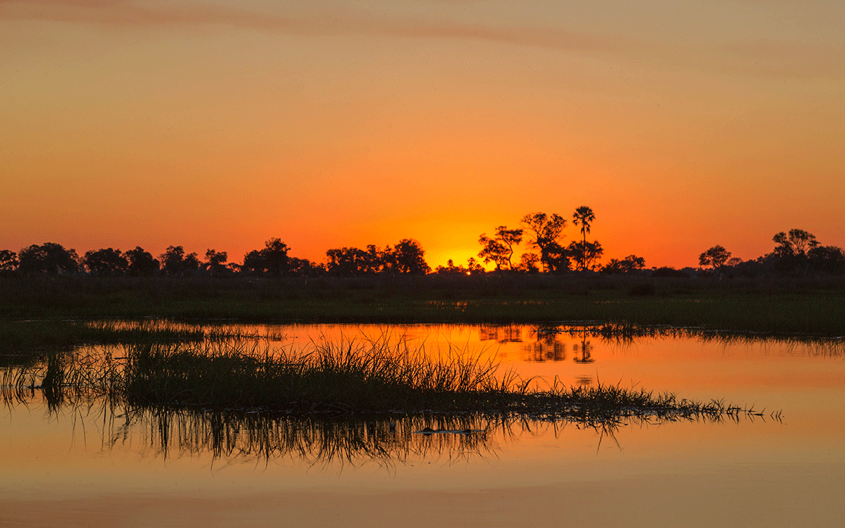 Okavango Botswana