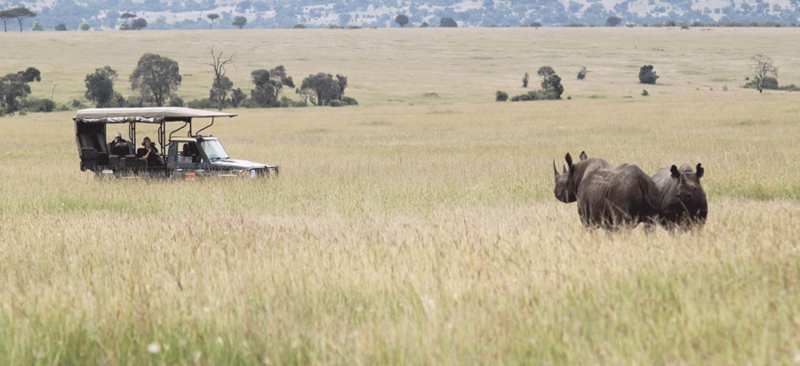 14 Days Masai Mara and Serengeti Wildebeest Migration Safari
