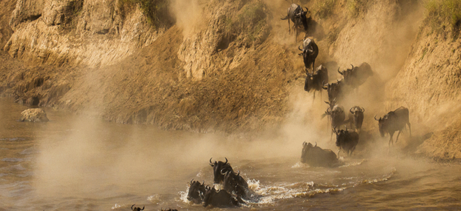 9 Days Masai Mara Migration, Samburu and Lake Naivasha Safari