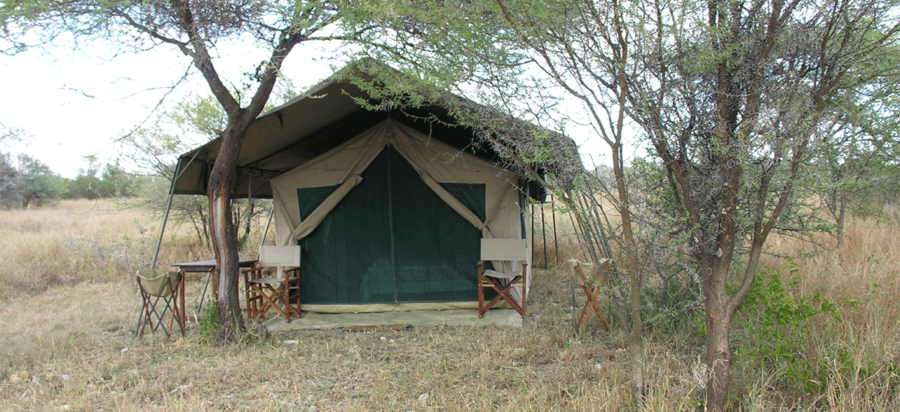 Best places to stay in Northern serengeti to see the Mara River crossings