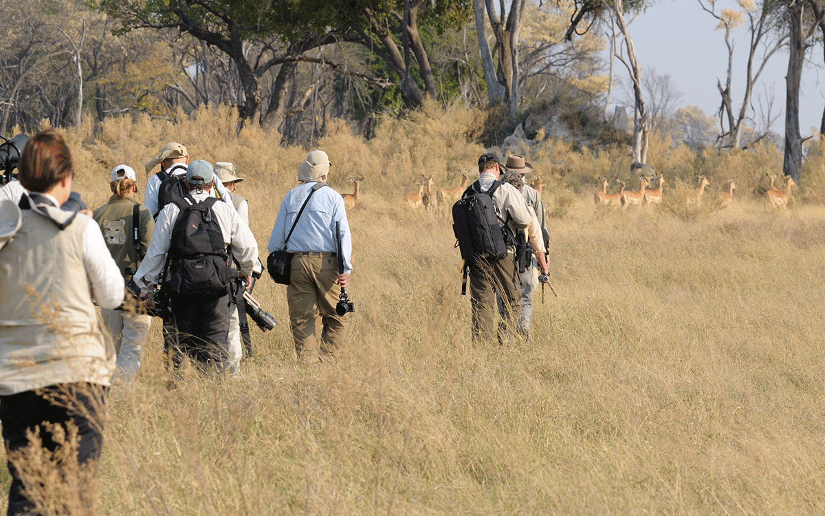 Walking Safaris in Zimbabwe