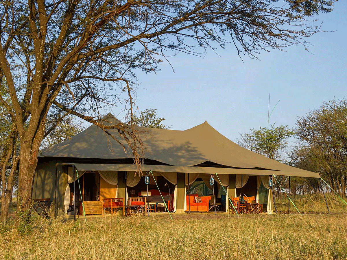 5 Days Tanzania’s Serengeti, Ngorongoro Crater Safari