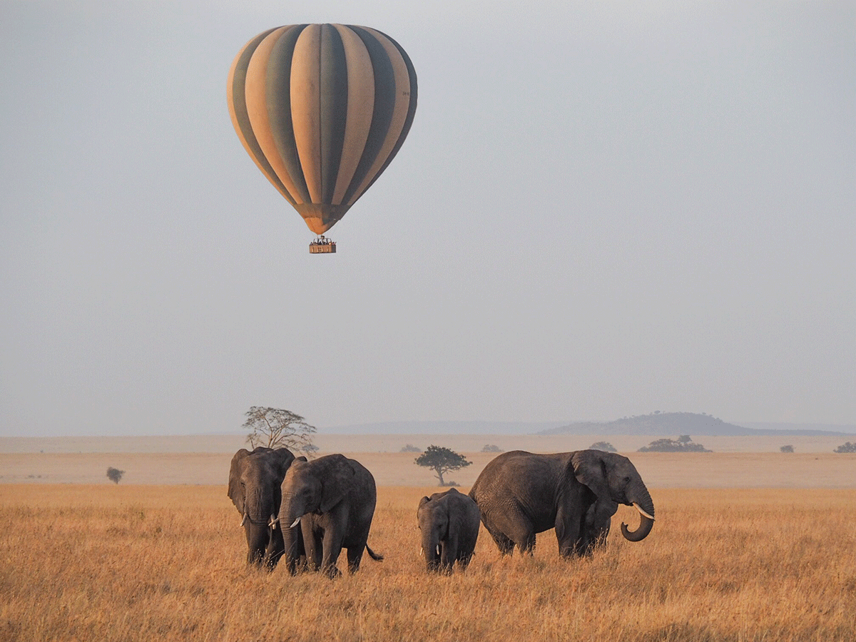 Hot Air balloon Safaris in Serengeti NP