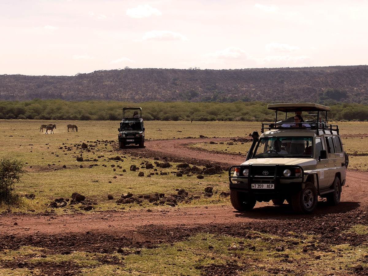 How to get to Lake Manyara National Park Tanzania