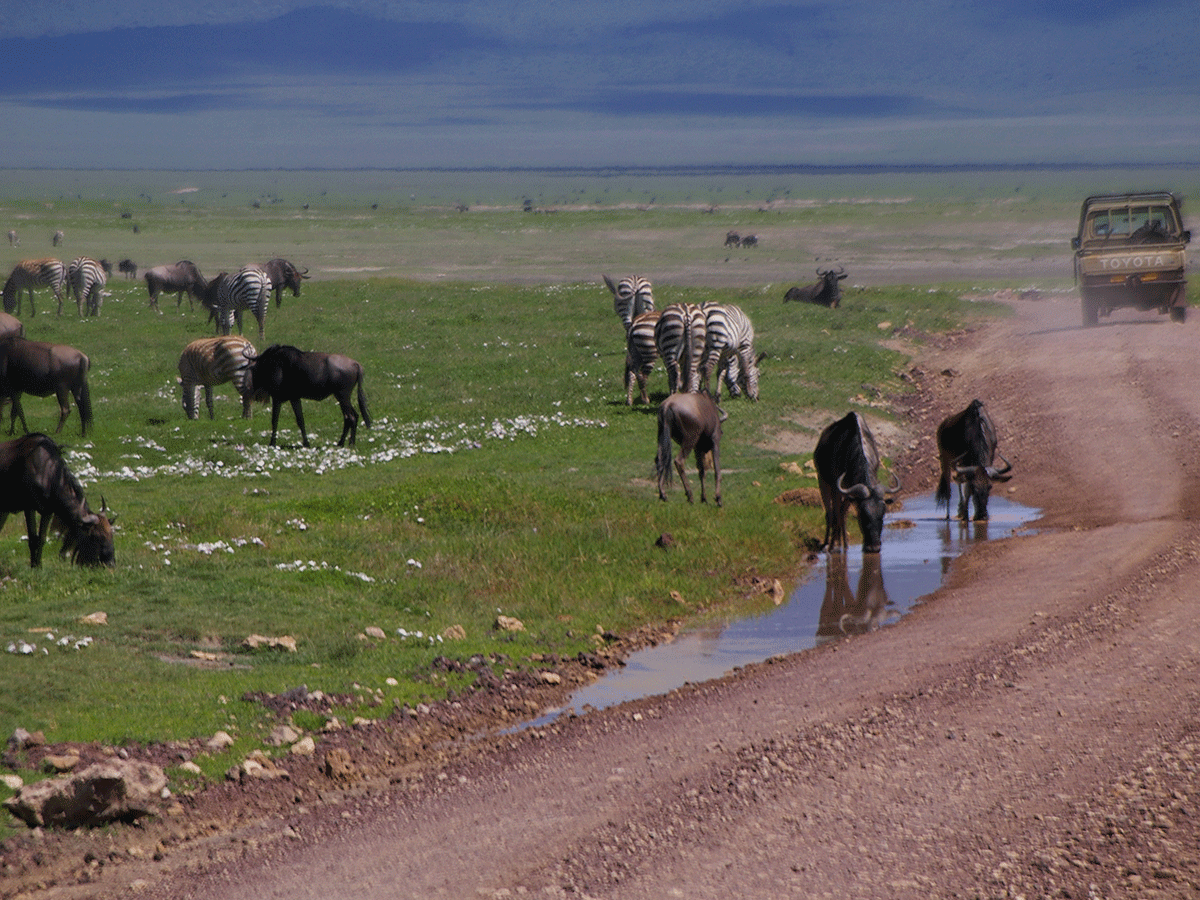 How to get to Ngorongoro Conservation Area Tanzania