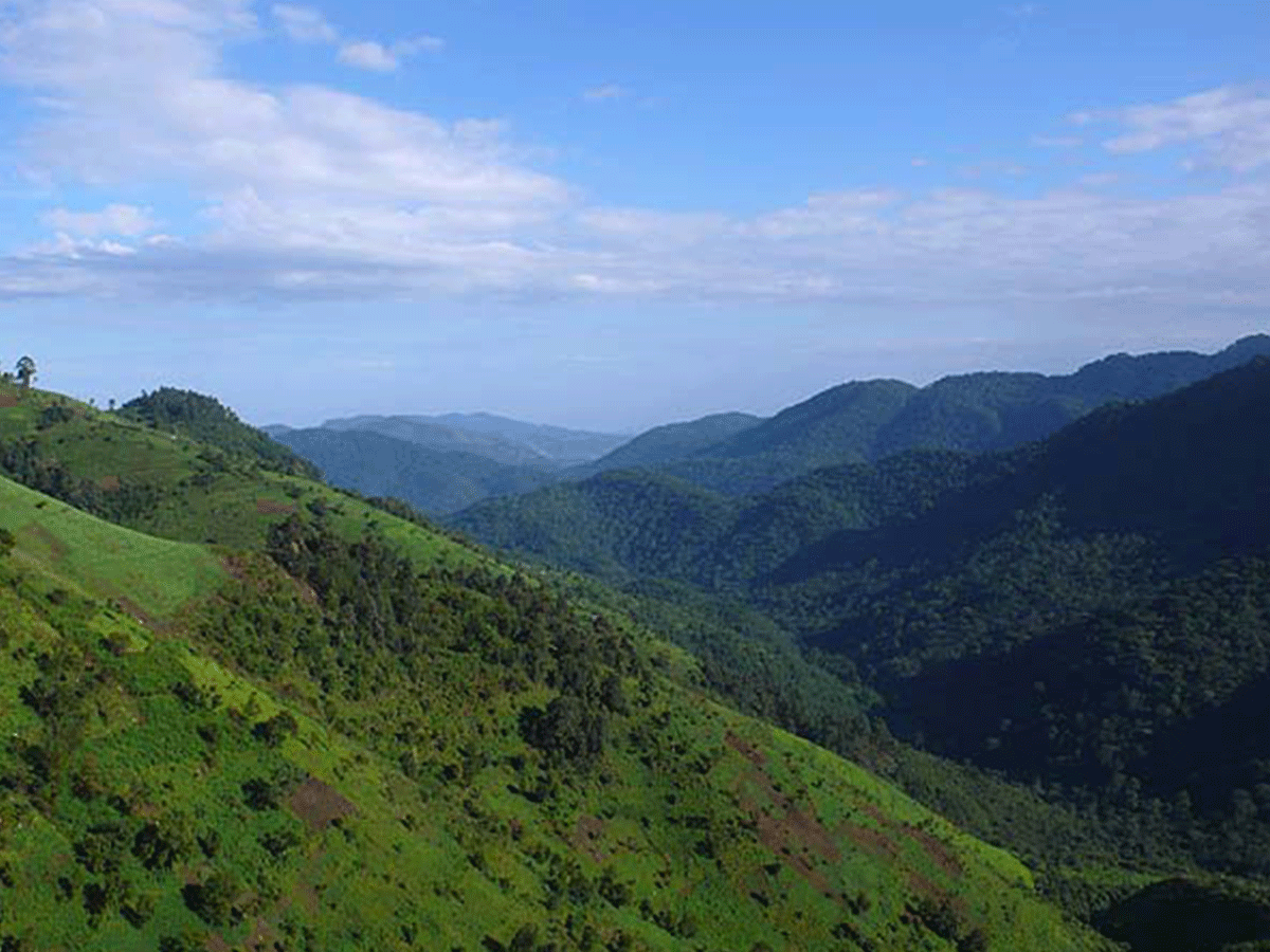 Nkuringo Gorilla Trekking sector Bwindi Forest