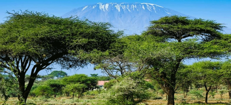 When is the best time to climb Mount Kilimanjaro