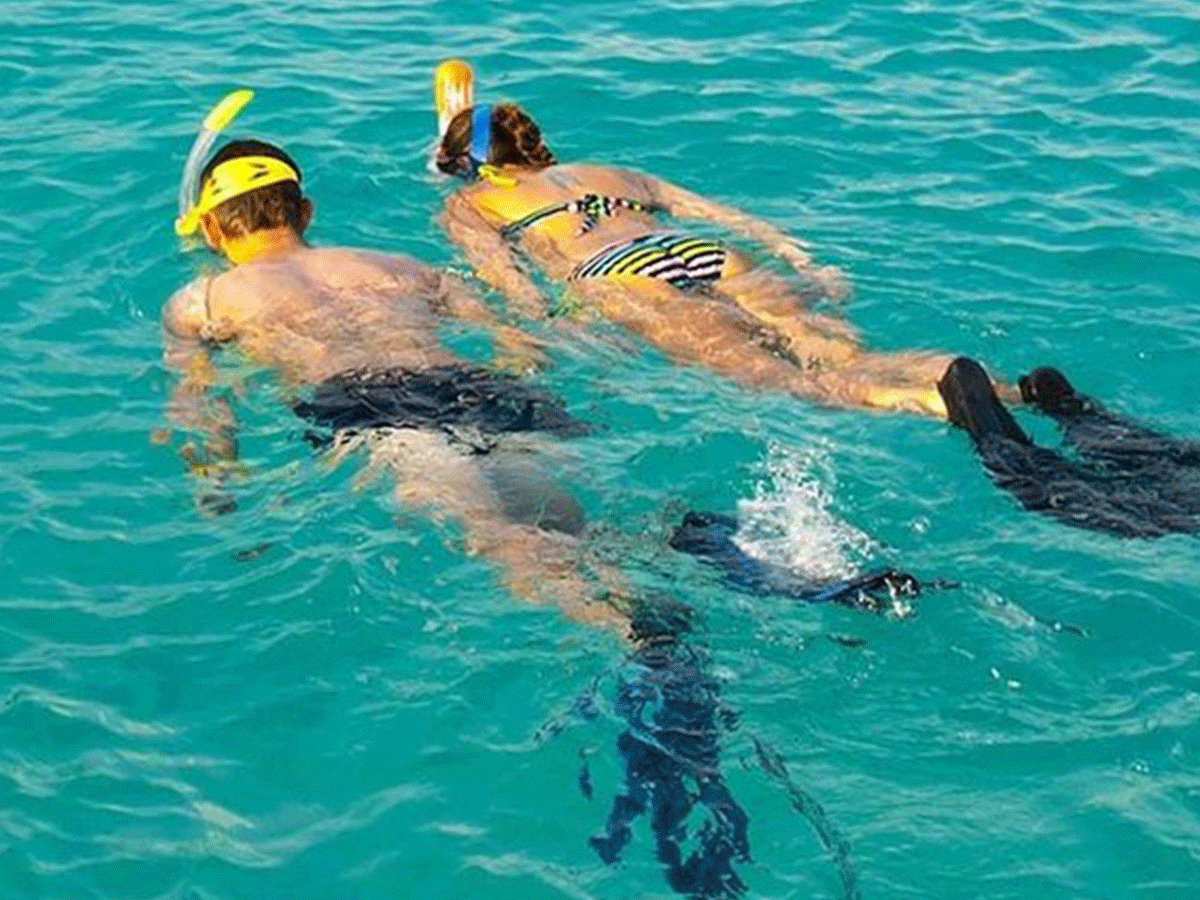 Zanzibar Snorkeling tours to see marine life
