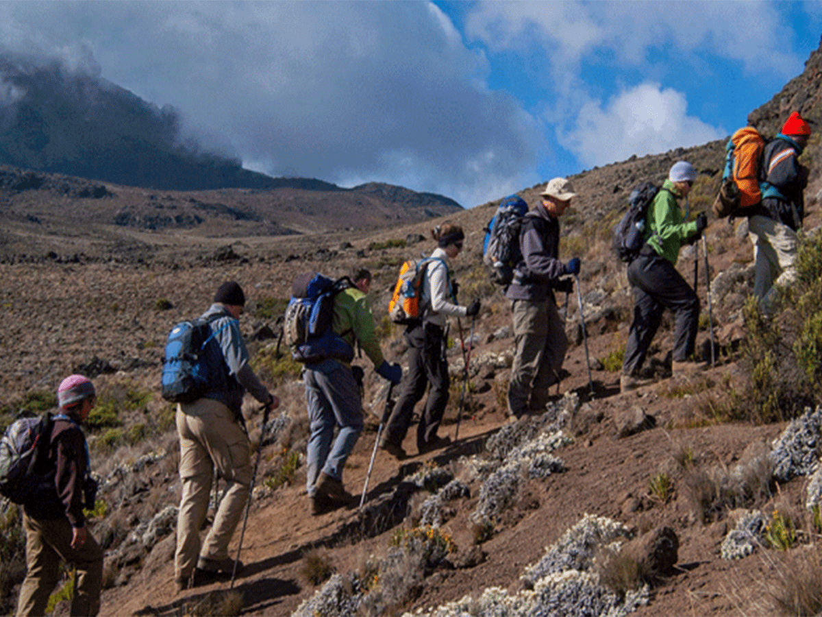 8 Days Mount Kilimanjaro Hike via Machame route