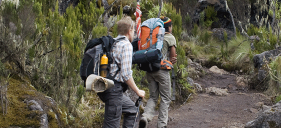 9 Days Mount Kilimanjaro Hike via Lemosho route
