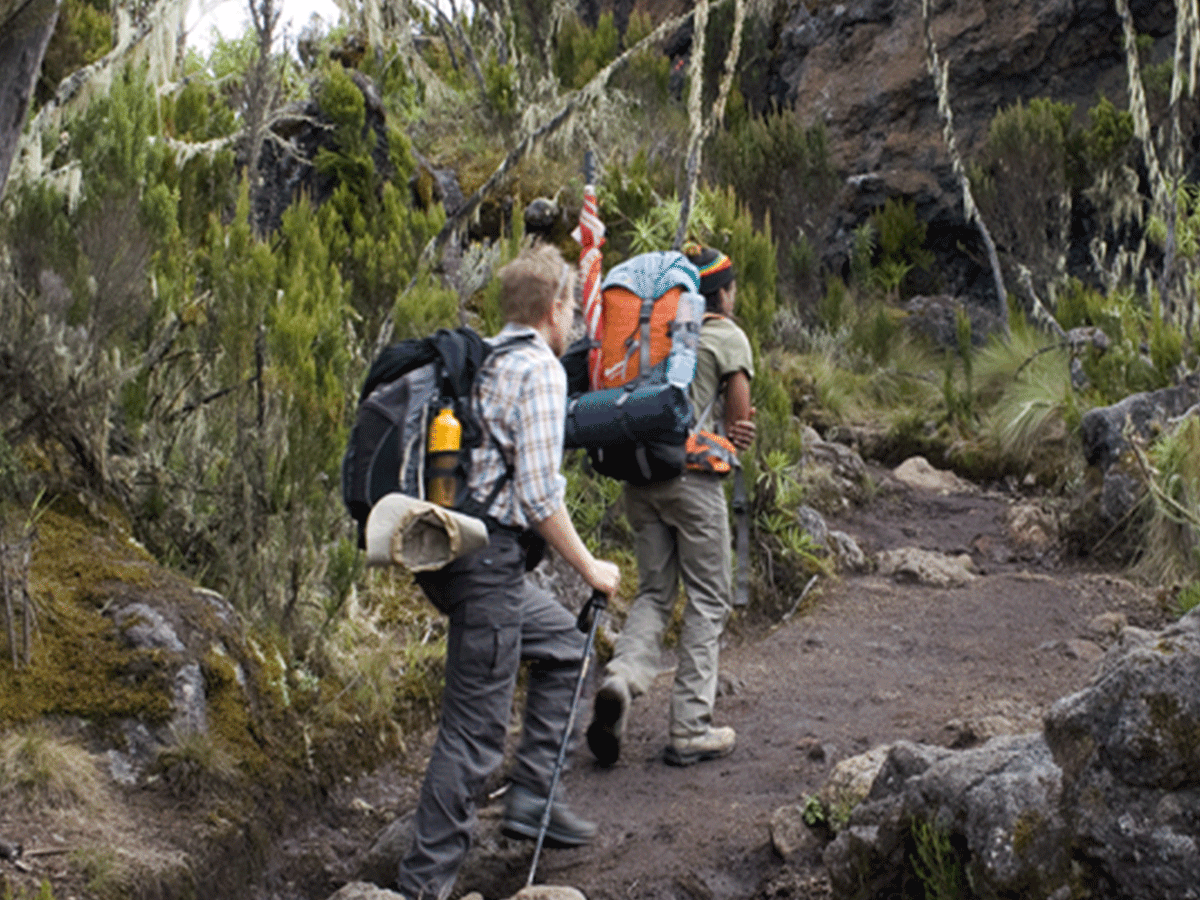 9 Days Mount Kilimanjaro Hike via Lemosho route