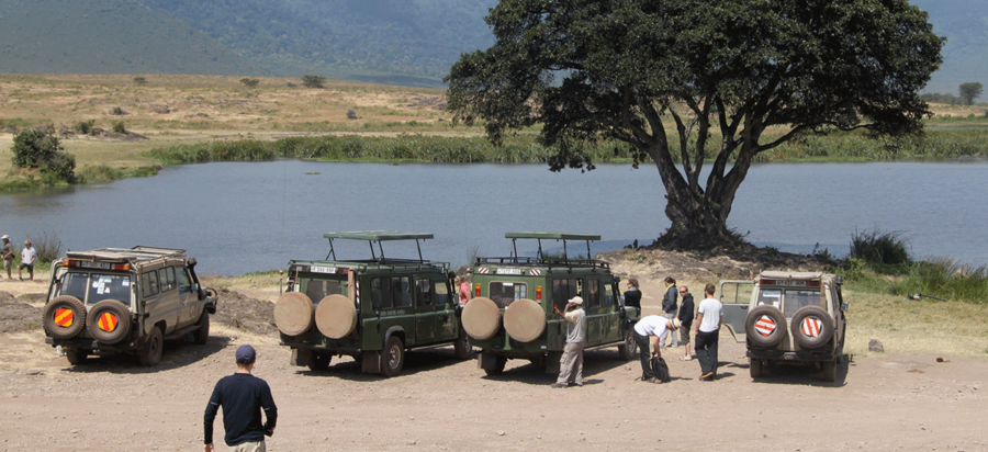 Game Drives and wildlife viewing in Ngorongoro Crater