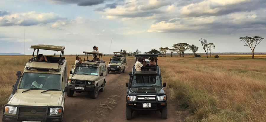 When is the best time to visit Tanzania for safari