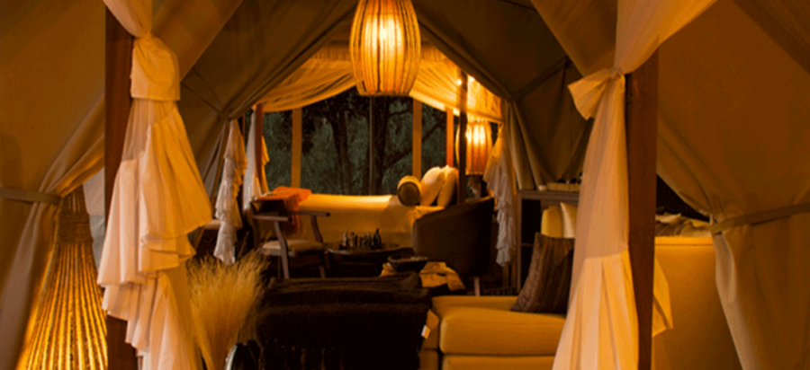 Best places to stay in Masai Mara National Reserve