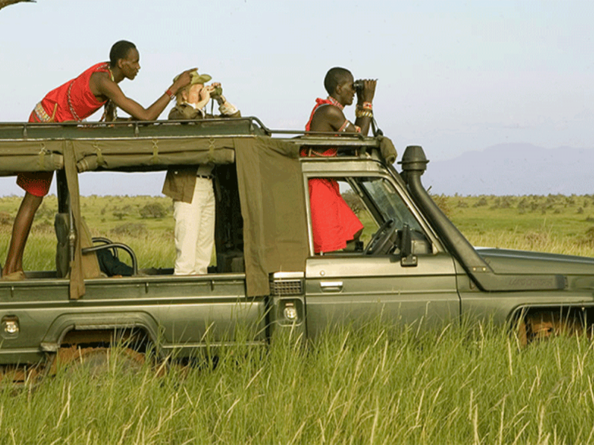 Game drives in Masai Mara national reserve