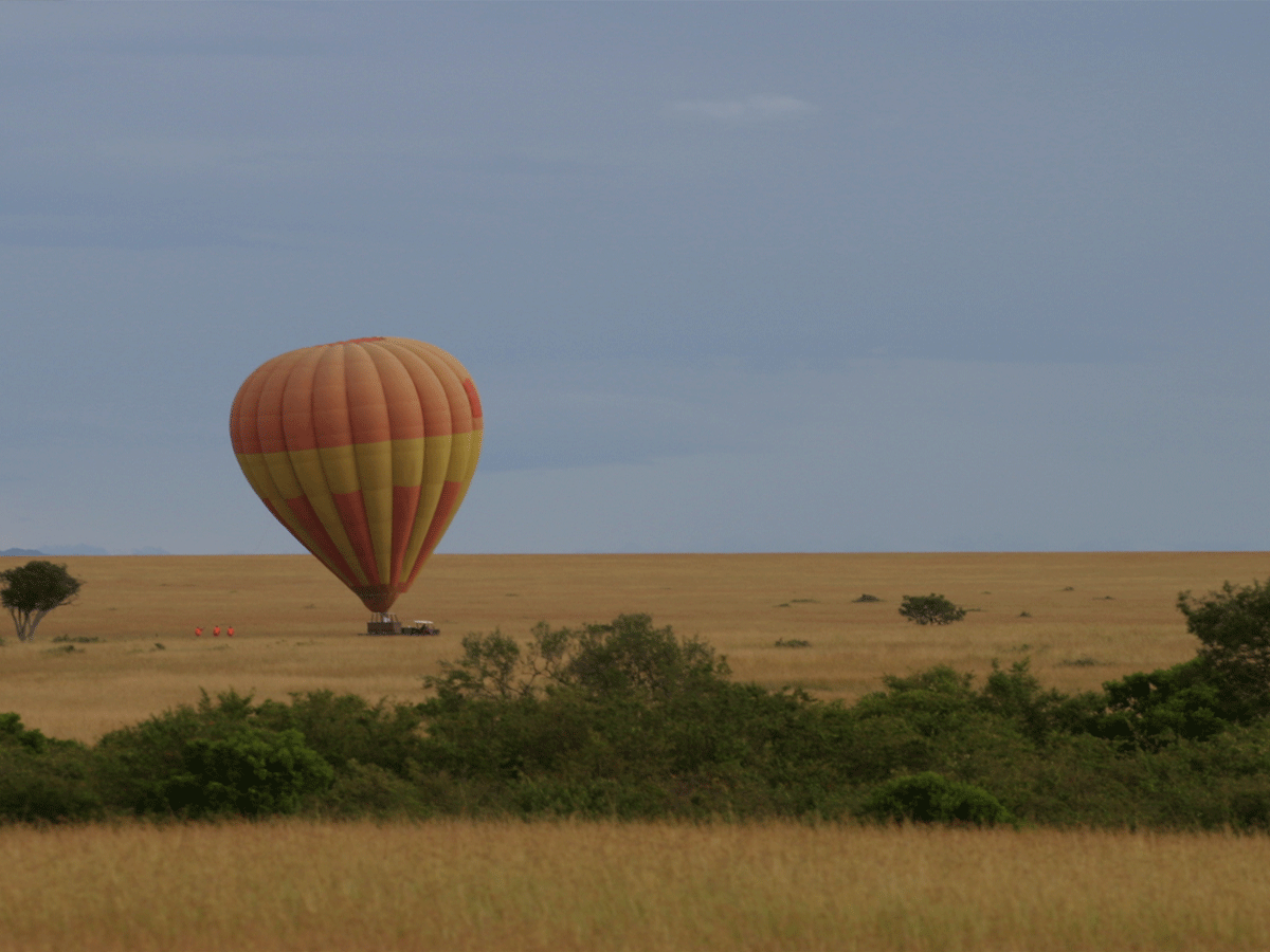 Hot air baloon in Masai Mara National Reserve