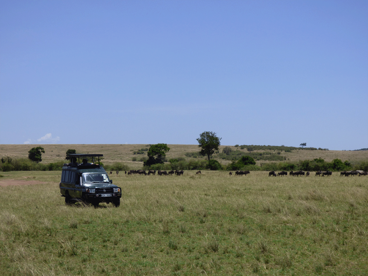 How to get to Masai Mara National Reserve