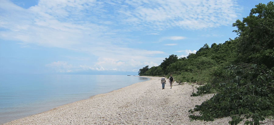 Best time to visit Gombe Stream National Park