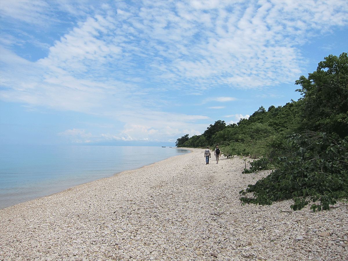 Best time to visit Gombe Stream National Park