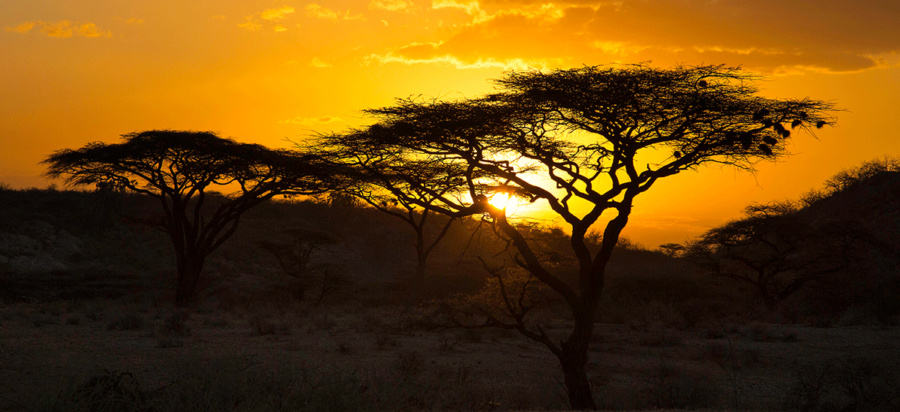 Best time to visit Lake Nakuru National Park