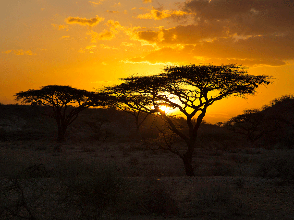 Best time to visit Lake Nakuru National Park