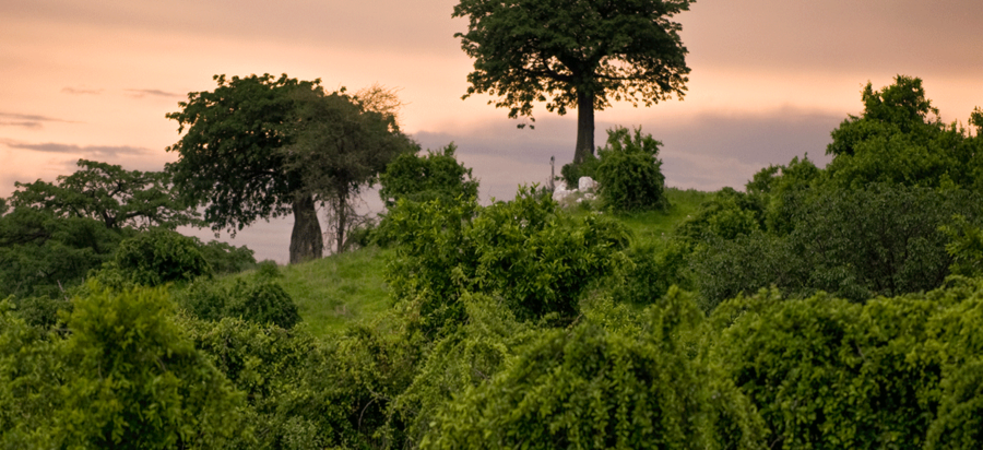 Best time to visit Ruaha National Park