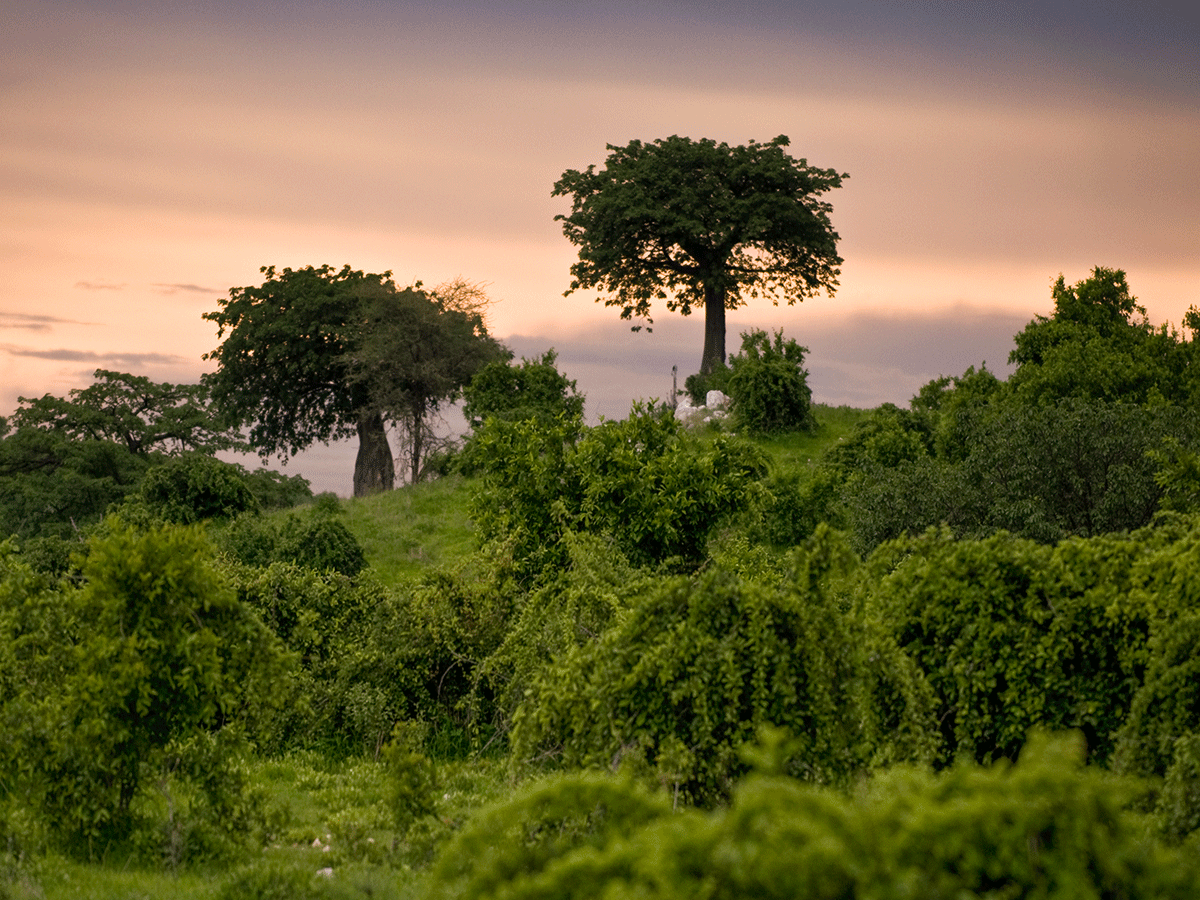 Best time to visit Ruaha National Park