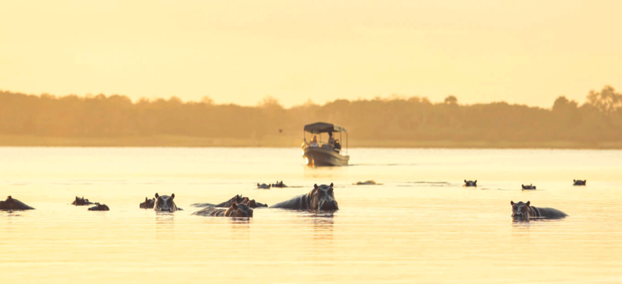 Boat cruise on Ruaha River Ruaha National Park