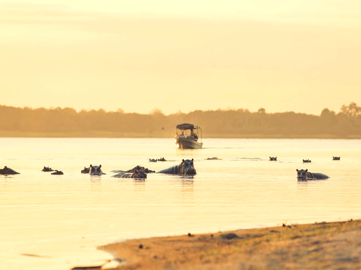 Boat cruise on Ruaha River Ruaha National Park