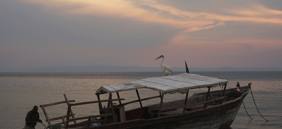 Dhow sunset boat cruise on Lake Tanganyika