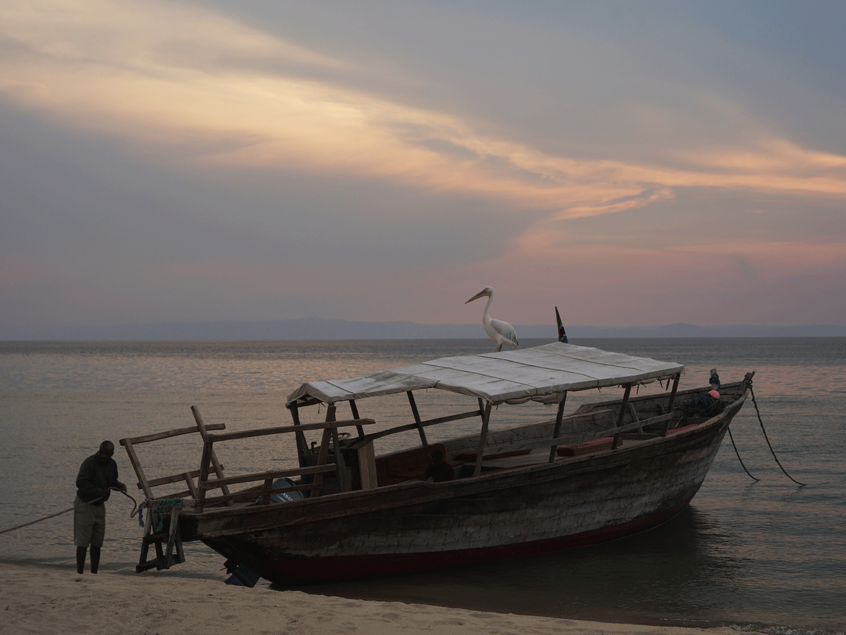 Dhow sunset boat cruise on Lake Tanganyika