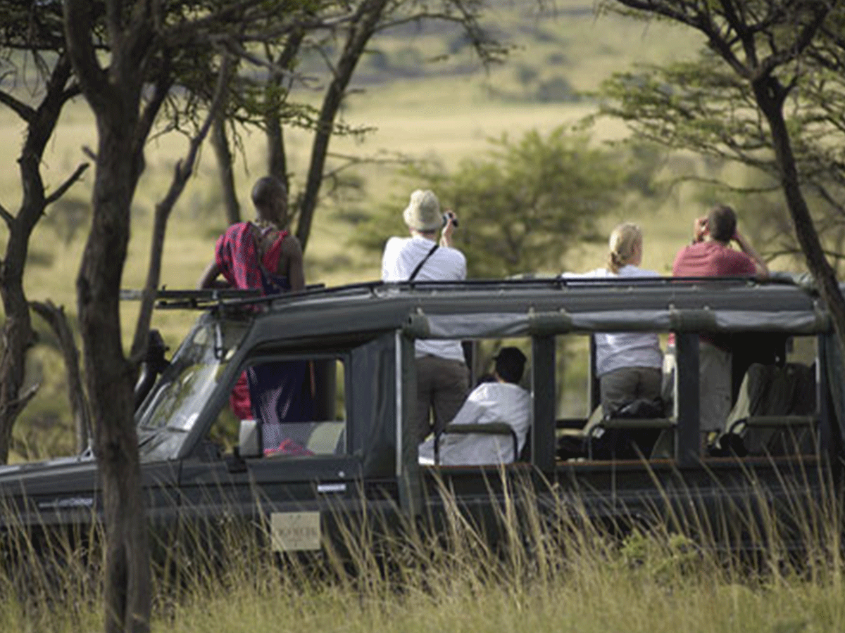 Game drives in Amboseli National Park