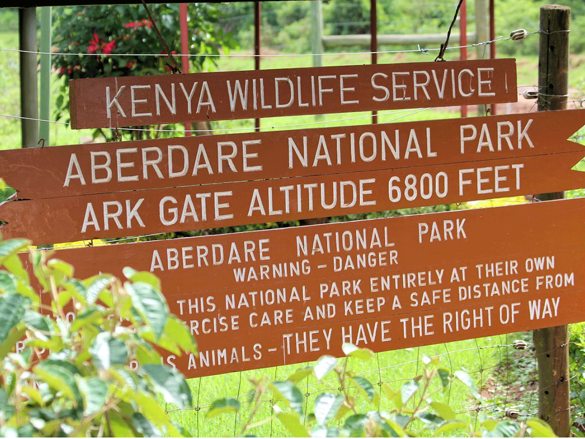 Aberdare National Park Kenya