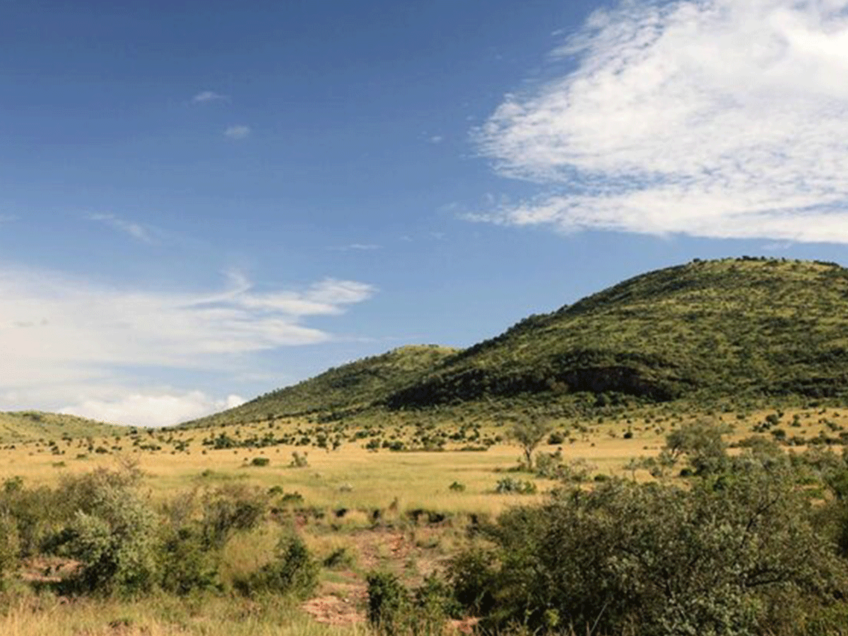 Best time to visit Aberdare National Park