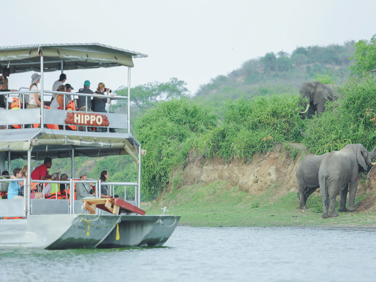 Boat cruise on Kazinga channel Queen Elizabeth