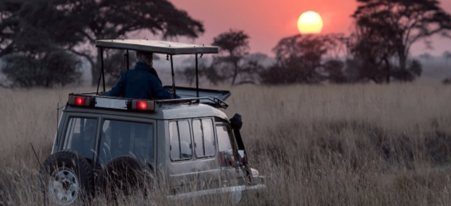 Game drives in Samburu National Park