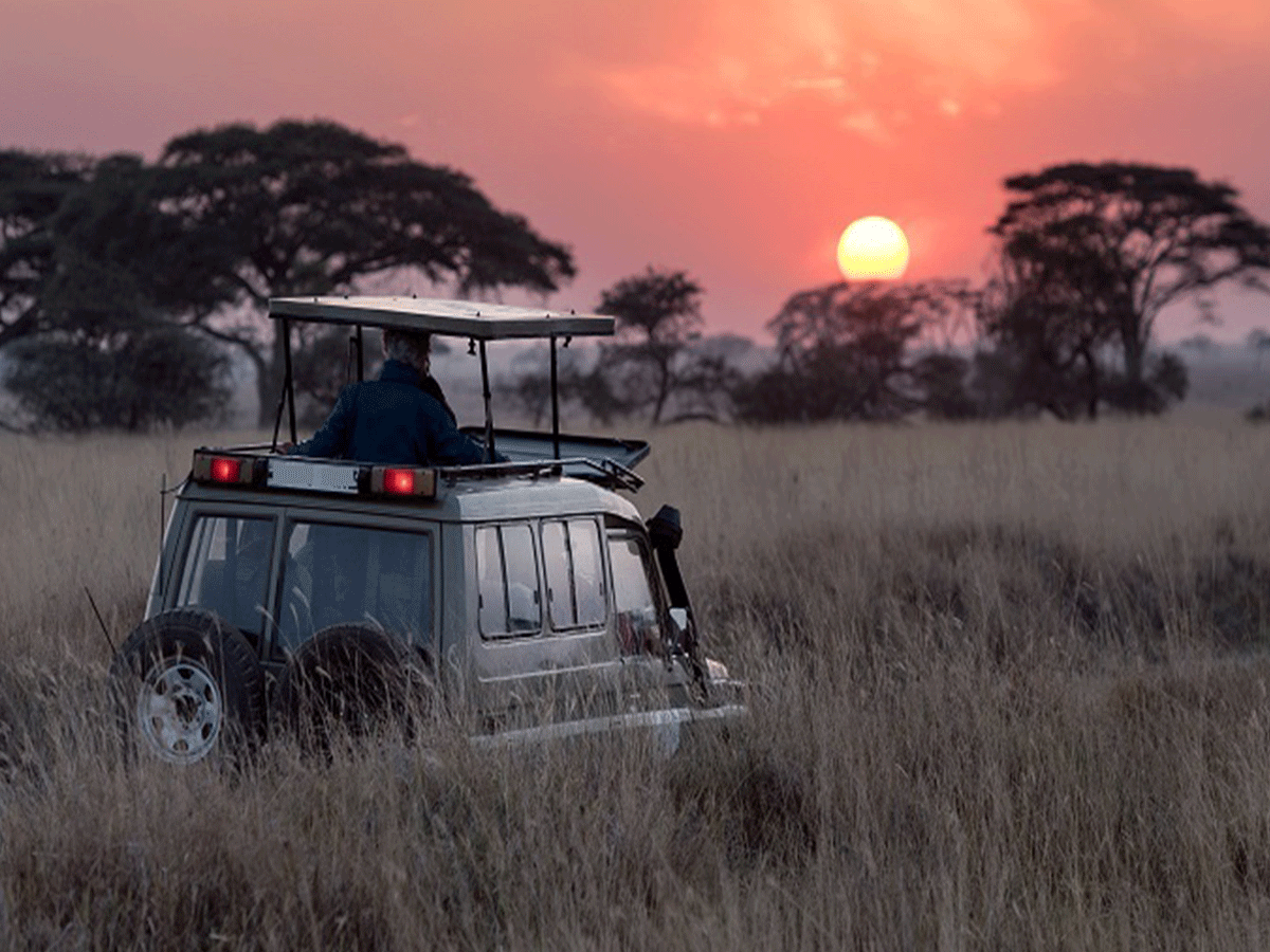 Game drives in Samburu National Park