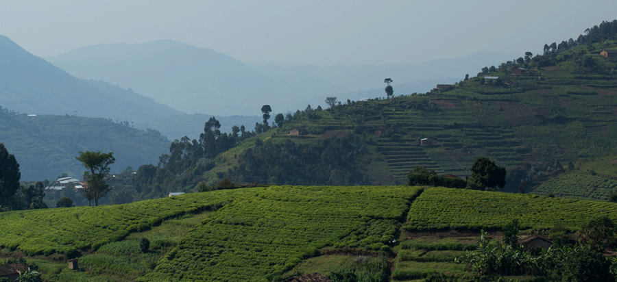 Hiking Congo Nile Trail in Lake Kivu Rwanda