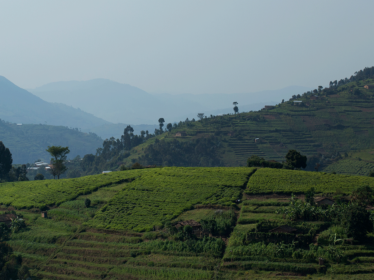 Hiking Congo Nile Trail in Lake Kivu Rwanda