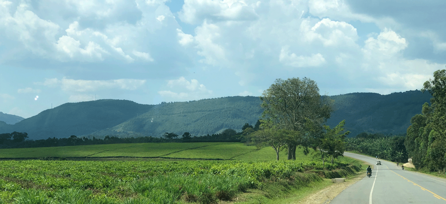 How to get to Queen Elizabeth National Park