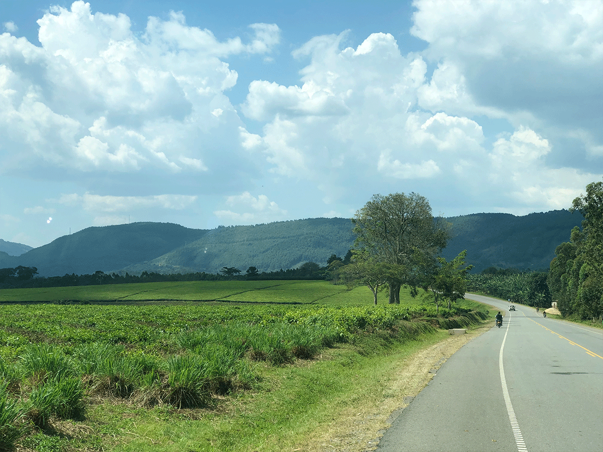 How to get to Queen Elizabeth National Park