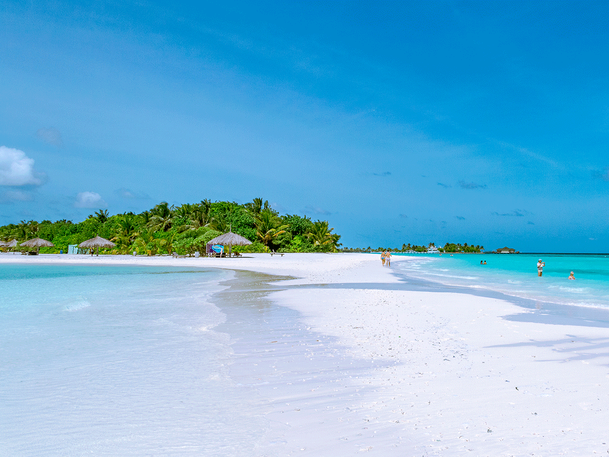 Kenya Indian Ocean Beach Coast