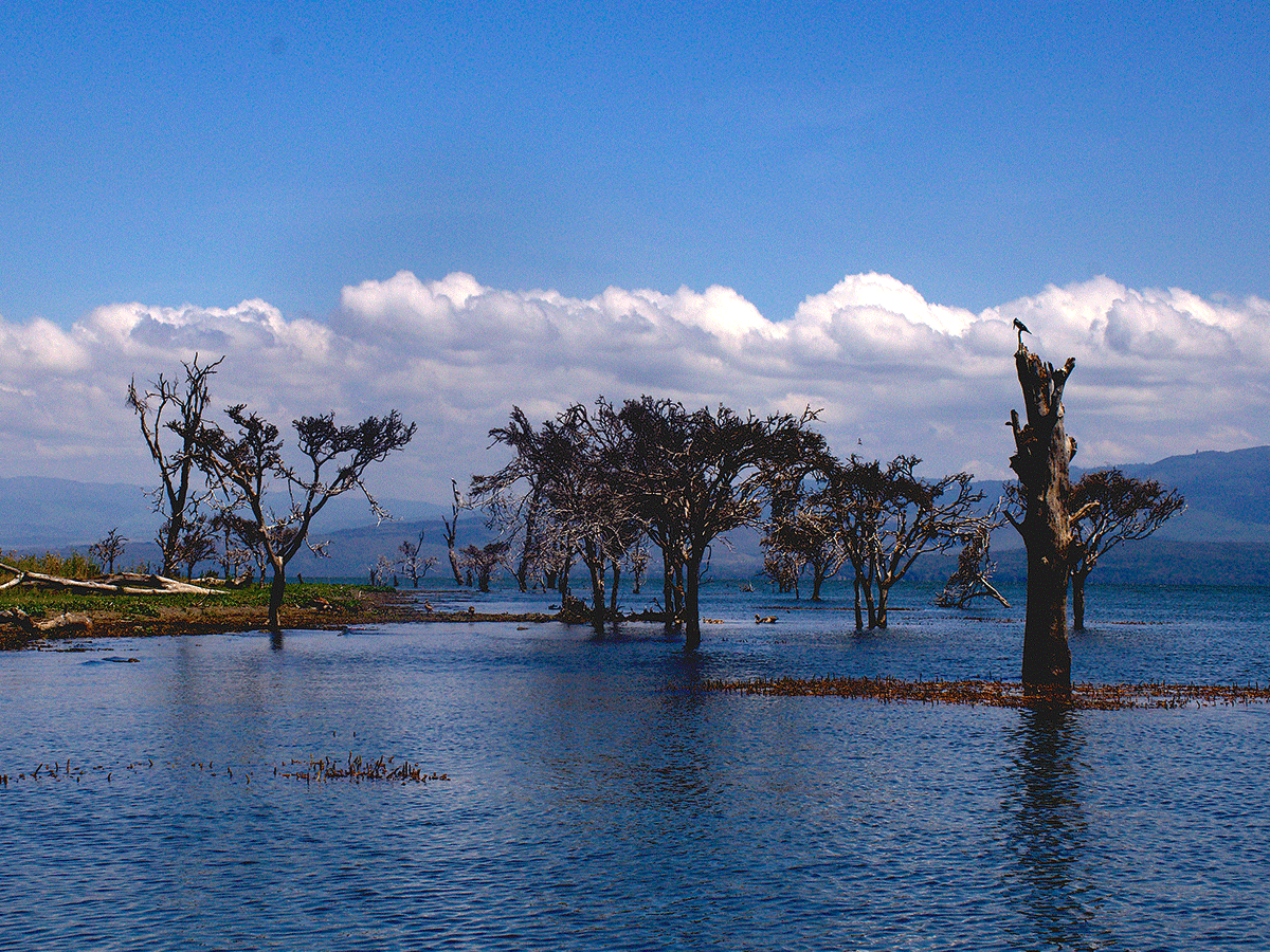 Lake Naivasha Kenya