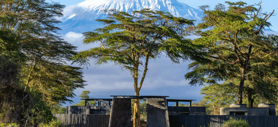 Mountaineering Safaris