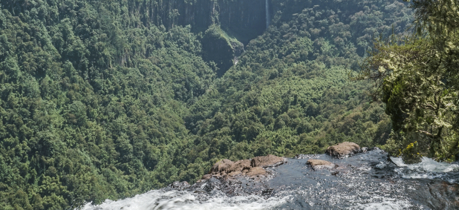 Nature walks in Aberdare National Park