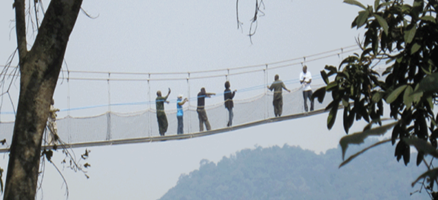 Nyungwe Forest Canopy Walk in Uwinka