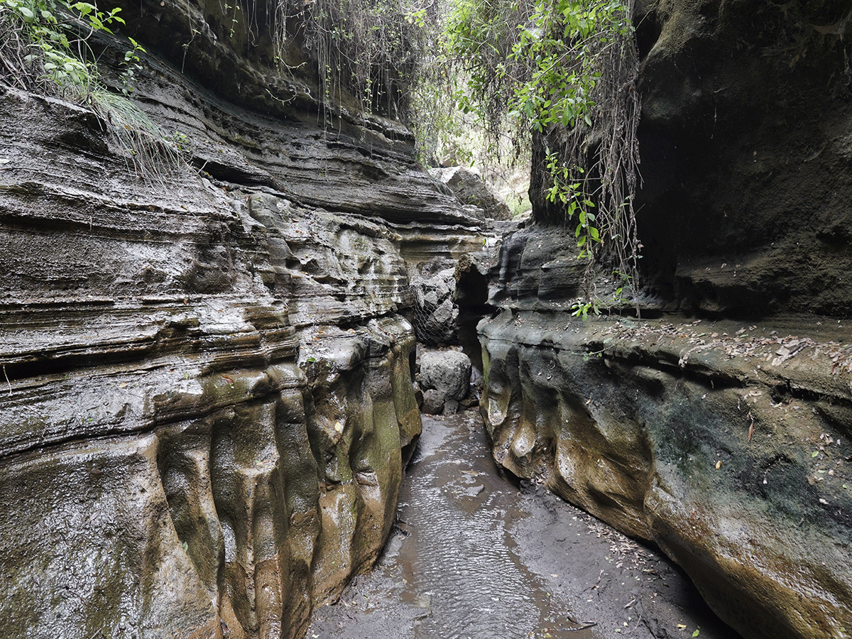 Visit Ol Njorowa Gorge in Hell_s gate National Park