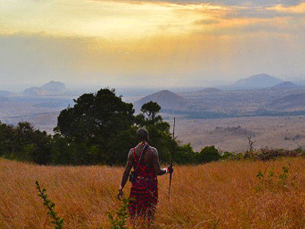 Walking Safaris in Samburu National park